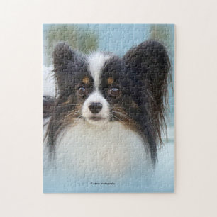 Quebra-cabeça Cachorro Espanhol de Papillon Bonito na Boca