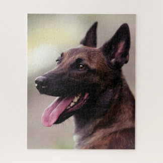 Quebra-cabeça Cachorro-german shepherd malinois