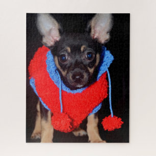 Quebra-cabeça Cachorro giro no doce de lã vermelha