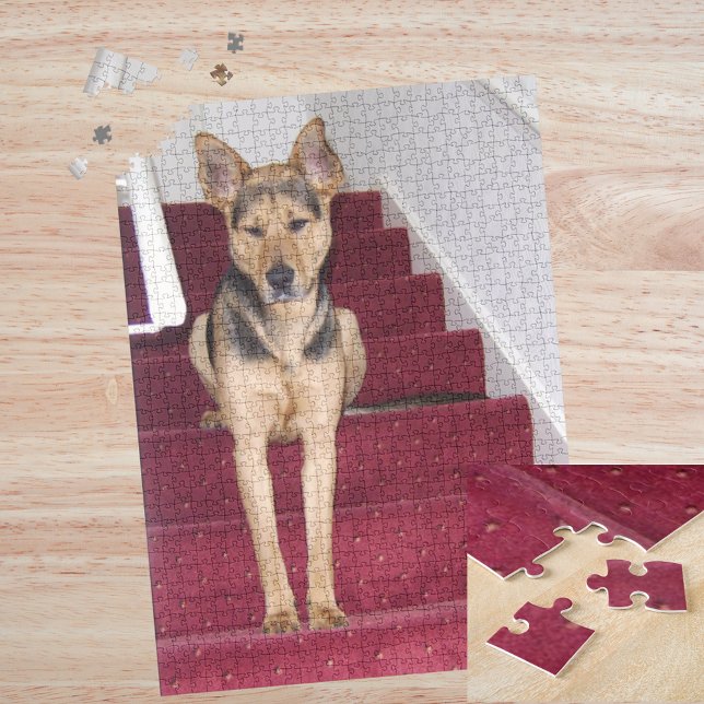 Quebra-cabeça Cachorro Jovem German shepherd Sentado nas Escadas (Young German Shepherd Dog Sitting on Stairs 16x20 Jigsaw Puzzle)