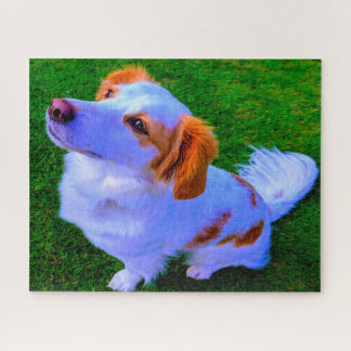 Quebra-cabeça Cachorro Kokoni.