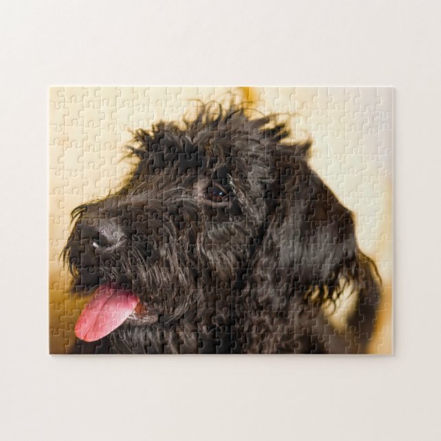 Quebra-cabeça Cachorro Labradoodle. (Horizontal)