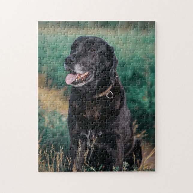 Quebra-cabeça Cachorro Negro-Labrador Cachorro-Bonito (Vertical)