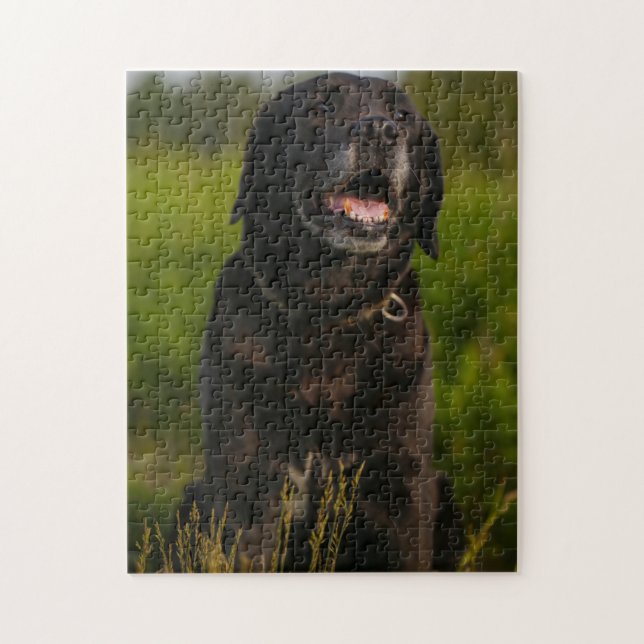 Quebra-cabeça Cachorro Negro-Labrador Cachorro-Bonito (Vertical)