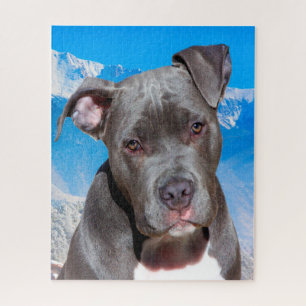 Quebra-cabeça Cachorro Pitbull.