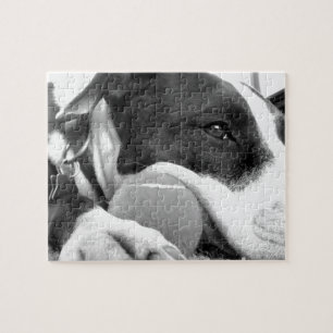Quebra-cabeça cachorro pitbull fofo e triste, preto e branco com