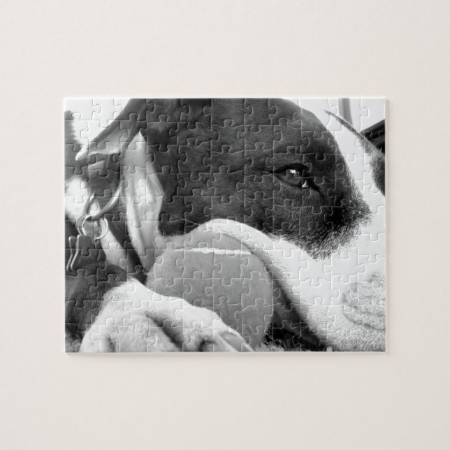 Quebra-cabeça cachorro pitbull fofo e triste, preto e branco com (Horizontal)