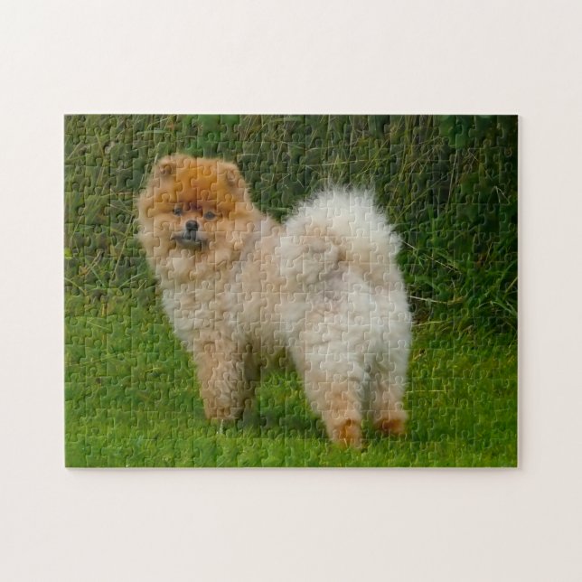 Quebra-cabeça Cachorro Pomerânia Spitz Anão. (Horizontal)