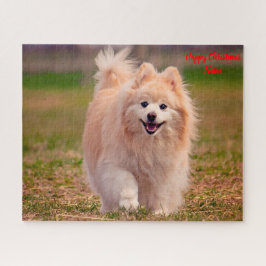 Quebra-cabeça Cachorro Pomerano.