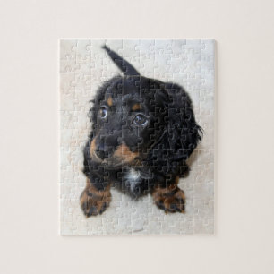 Quebra-cabeça Cachorro-preto-branco, Cachorro-pinto, Quebra-cabe