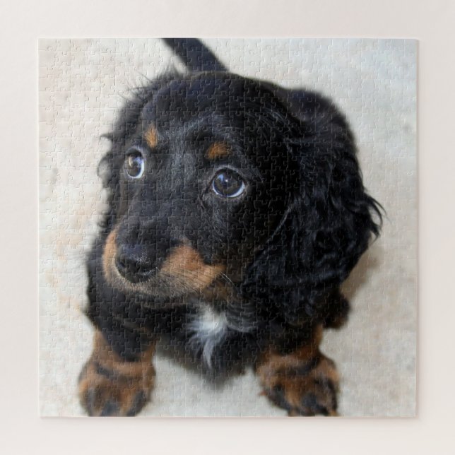 Quebra-cabeça Cachorro-preto-branco-creme-pompa (Vertical)