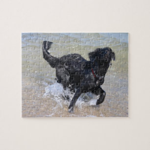 Quebra-cabeça Cachorro Ridículo Labrador Preto Espalhando na Á
