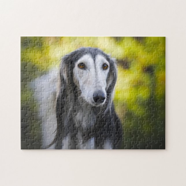 Quebra-cabeça Cachorro Saluki Jigsaws. (Horizontal)