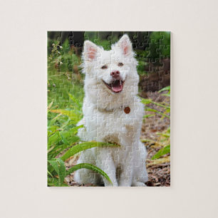 Quebra-cabeça Cachorro Sweet White Lapp Hund Foto de Fundo Verde