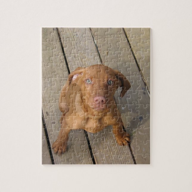 Quebra-cabeça cachorro vizsla (Vertical)