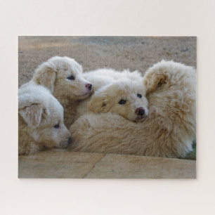 Quebra-cabeça Cachorros de Guardião Branco