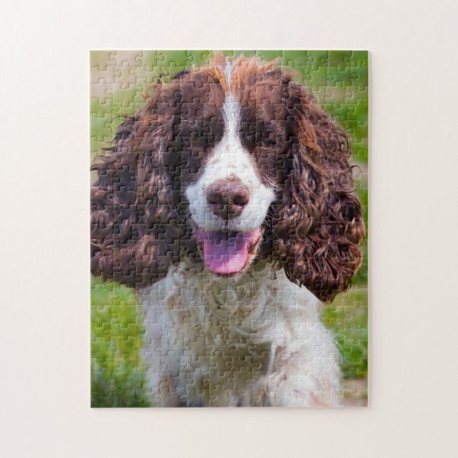 Quebra-cabeça Cachorros Espanhol Springer Jigsaws. (Vertical)