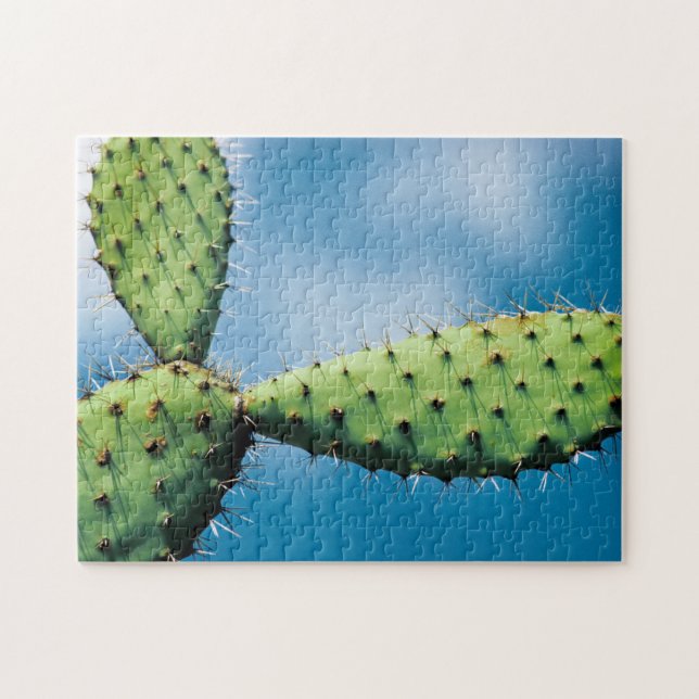 Quebra-cabeça Cacto de Prickley (Horizontal)