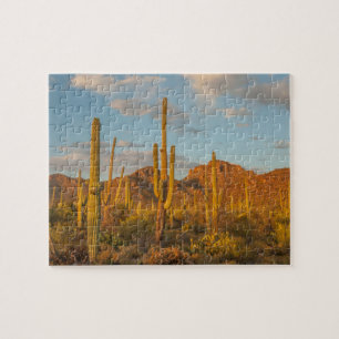 Quebra-cabeça Cacto saguaro ao pôr do sol, Arizona