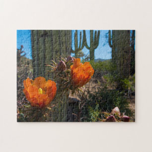 Quebra-cabeça - cactos - flores - arizona
