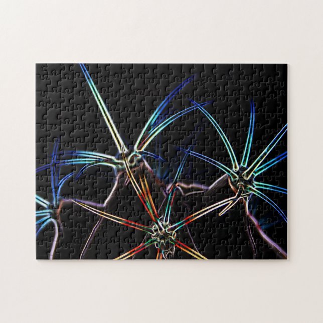 Quebra-cabeça Cactus 1 11x14 252pc jpcna (Horizontal)