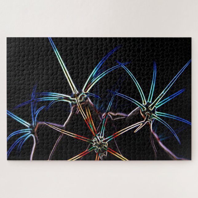 Quebra-cabeça Cactus 1 20x30 1014pc jpcna (Horizontal)