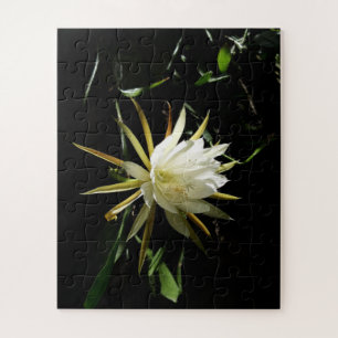 Quebra-cabeça Cactus Bloom