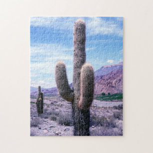 Quebra-cabeça Cactus na província de Jujuy - Norte Argentina