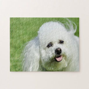 Quebra-cabeça Cães Bichon Frise.