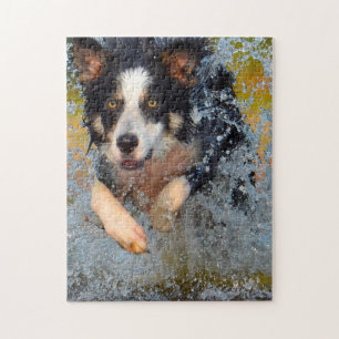 Quebra-cabeça Cães Border Collie.