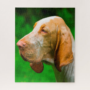 Quebra-cabeça Cães de Sangue