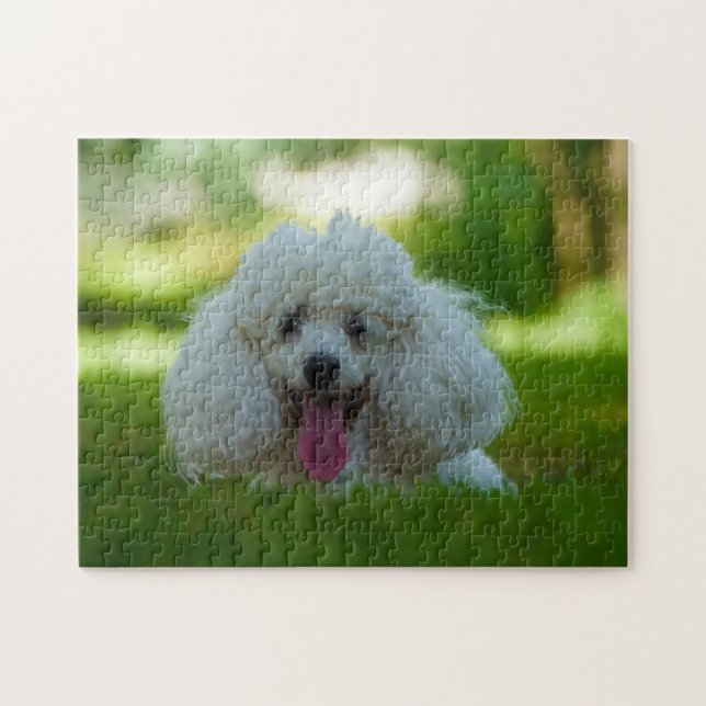Quebra-cabeça Cães Poodle. (Horizontal)