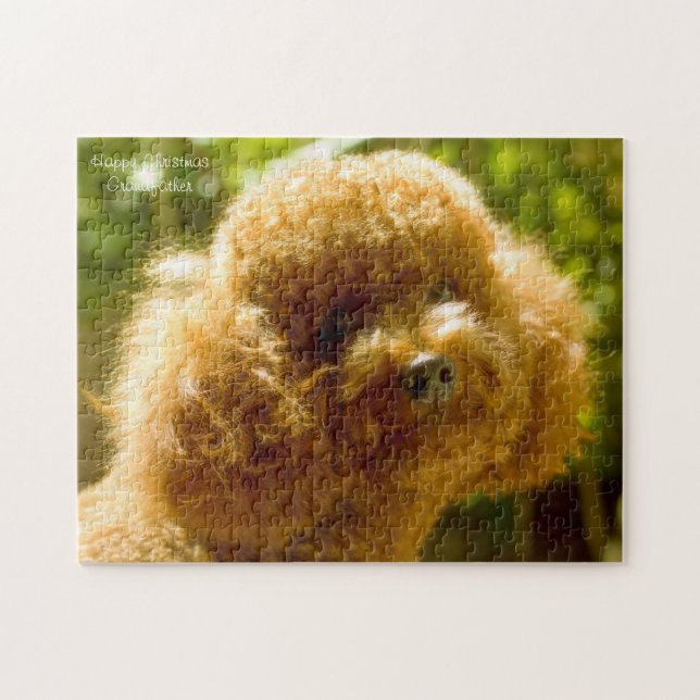 Quebra-cabeça Cães Poodle. (Horizontal)