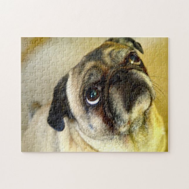 Quebra-cabeça Cães Pug. (Horizontal)