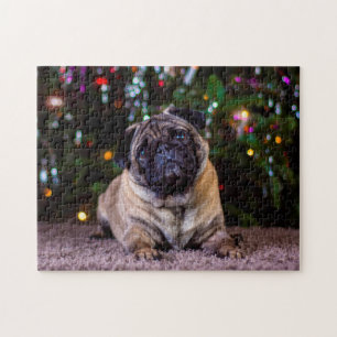 Quebra-cabeça Cães Pug.