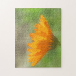 Quebra-cabeça - Calendula