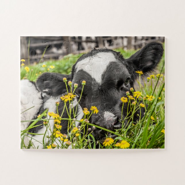 Quebra-cabeça Calf in grass and flowers (Horizontal)