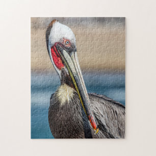 Quebra-cabeça California Brown Pelican, Foto de Arte Fina,