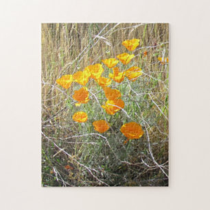 Quebra-cabeça - California Poppy