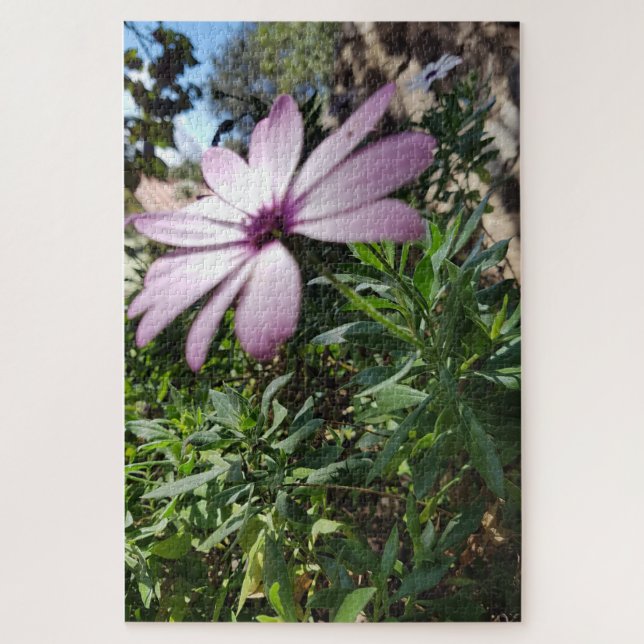 Quebra-cabeça Calma Matinal: Flor Rosa Pálido com Pétalas Macias (Vertical)