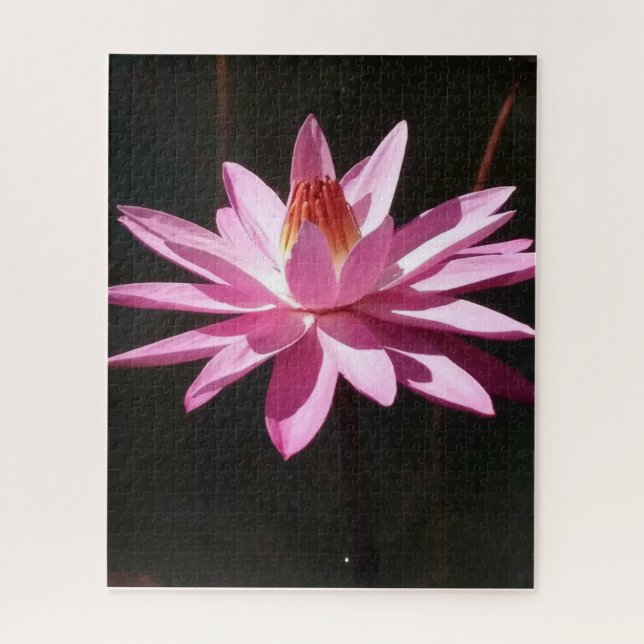 Quebra-cabeça Calma Matinal: Lótus Rosa em Luz Natural Suave (Vertical)