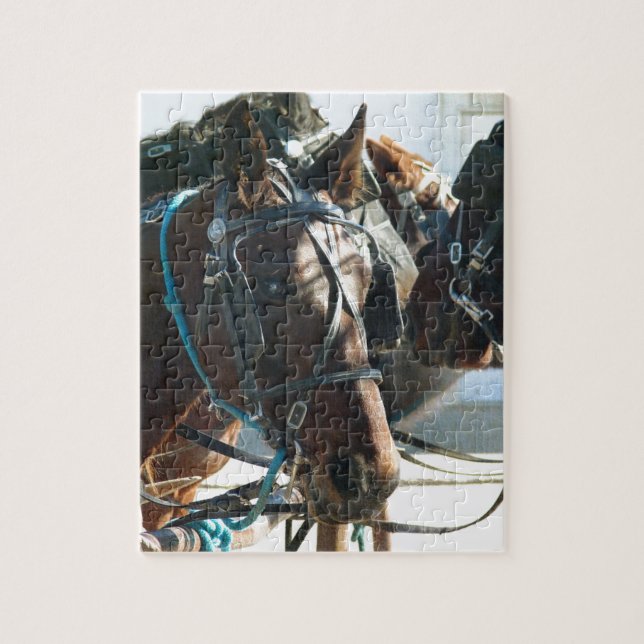 Quebra-cabeça Câmara Municipal Encontrando Cavalos Amish Buggy (Vertical)