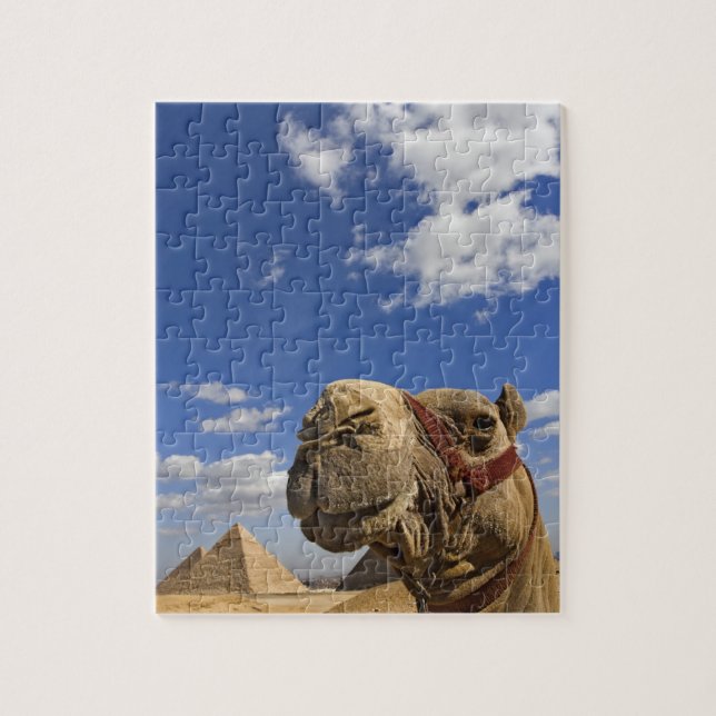 Quebra-cabeça Camel em frente às pirâmides de Giza, Egito, (Vertical)