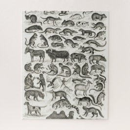 QUEBRA-CABEÇA CAMEL OLIVER GOLDSMITH MAMMAL