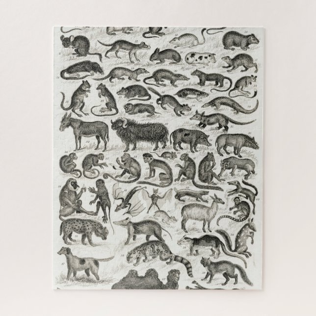 QUEBRA-CABEÇA CAMEL OLIVER GOLDSMITH MAMMAL (Vertical)