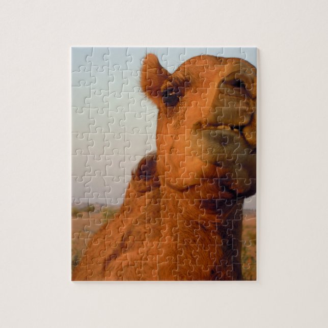 Quebra-cabeça Camelo no deserto 2 (Vertical)