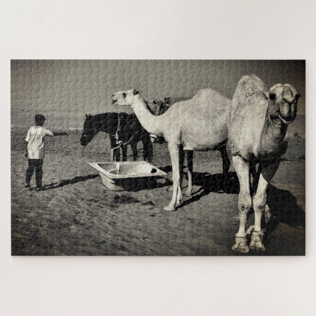 Quebra-cabeça Camelos do Deserto (Horizontal)