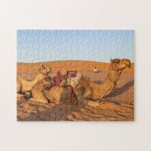 Camelos no deserto de Oman Wahiba