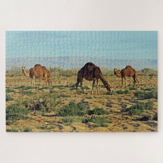Quebra-cabeça Camelos, Tunísia 1014-pc (Horizontal)
