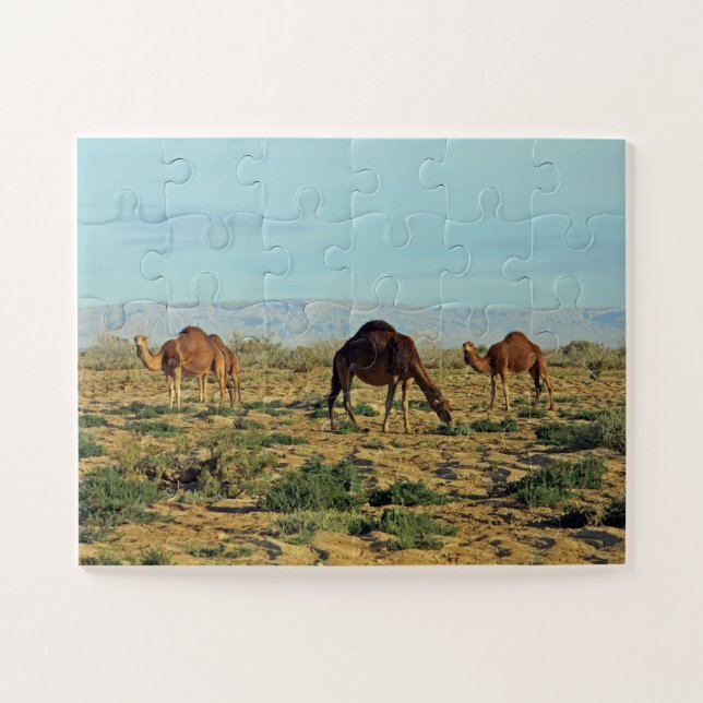 Quebra-cabeça Camelos, Tunísia 30- (Horizontal)